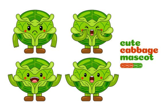 Cute Cabbage Mascot Graphics & Illustrations Review