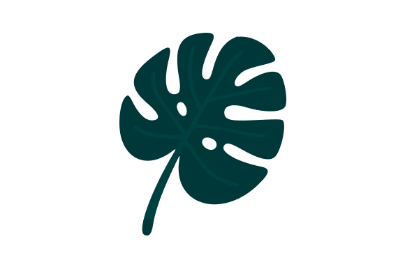 Monstera Leaf Clip Art: Graphics & Illustrations